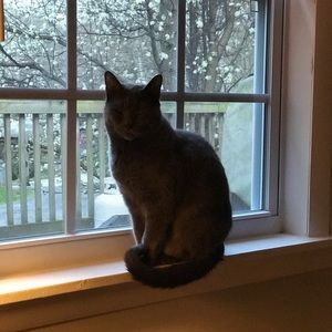 Meet your Posher, Kelly